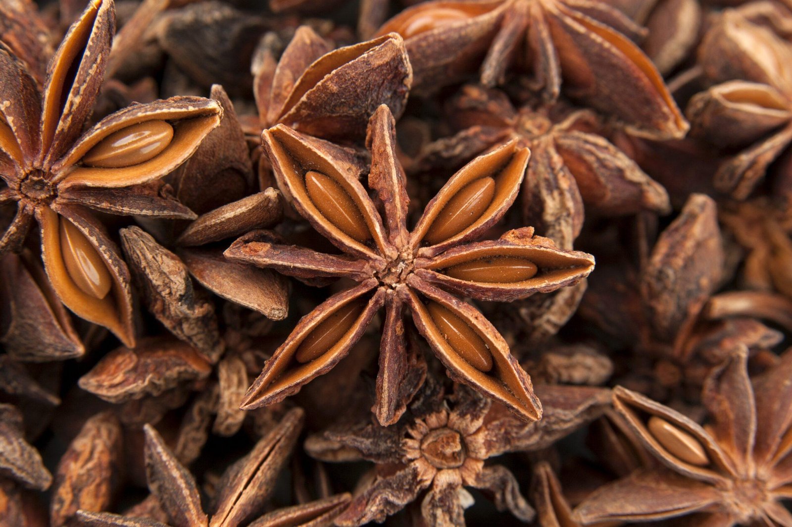CHAKRA PHOOL (STAR ANISE)